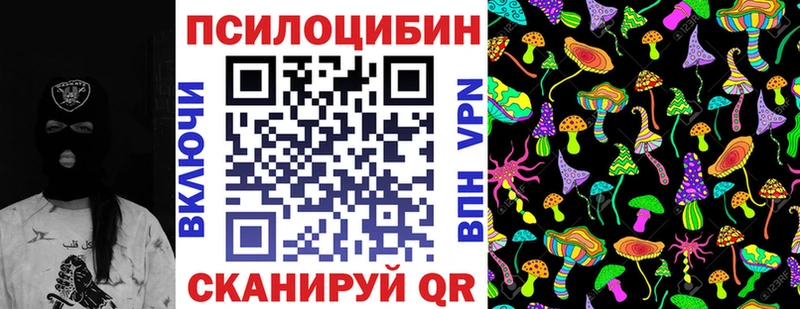 купить наркоту  blacksprut tor  Галлюциногенные грибы мицелий  Кочубеевское 